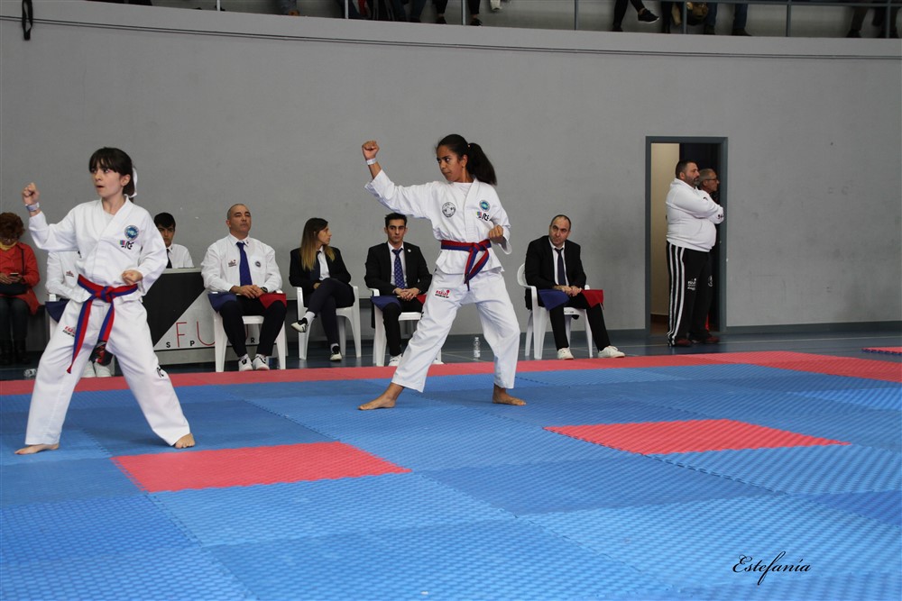 Copa Seul 2018 (427).jpg